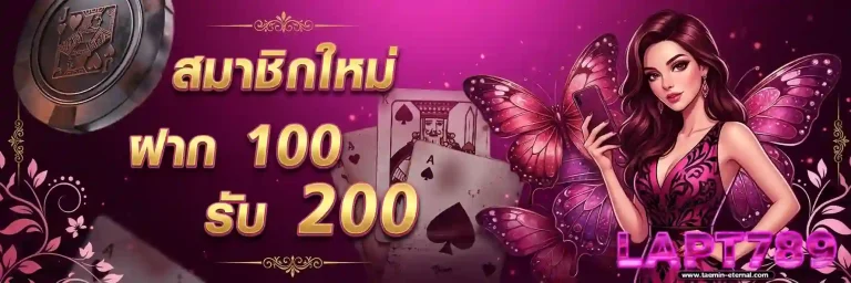 โปรโมชั่น LAPT 789